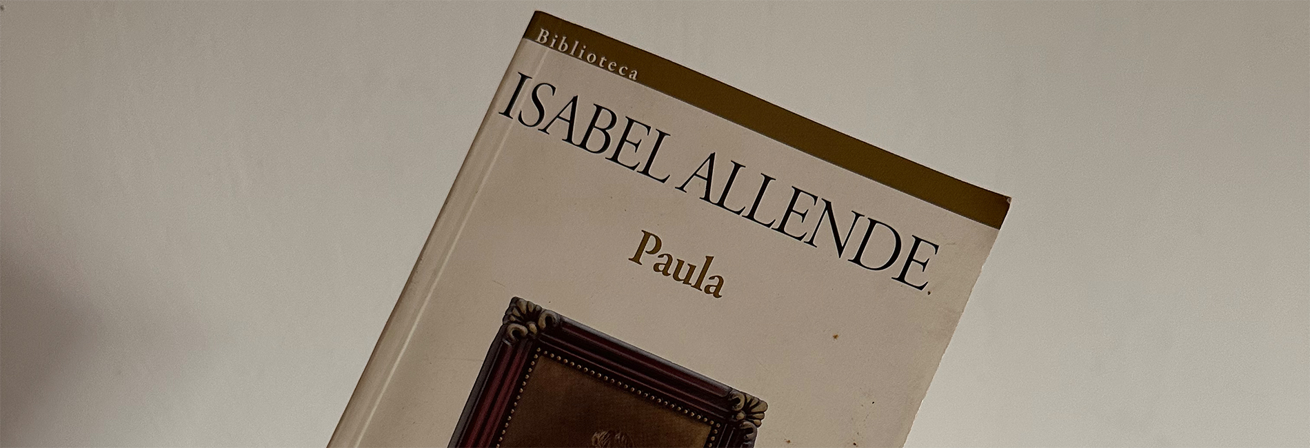 Paula de Isabel Allende o cómo transitar un duelo